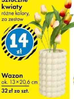 Wazon