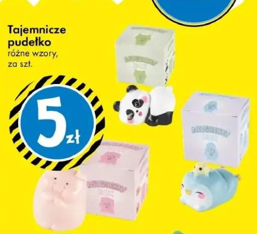 Tajemnicze pudełko różne wzory