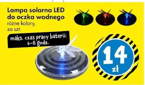Lampa solarna LED do oczka wodnego różne kolory