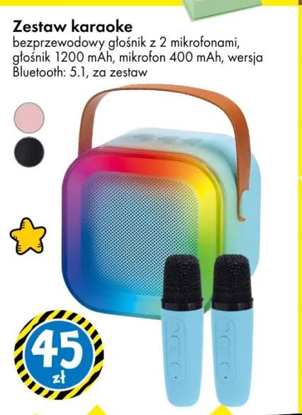 Zestaw karaoke bezprzewodowy głośnik z 2 mikrofonami