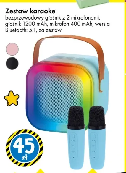 Zestaw karaoke bezprzewodowy głośnik z 2 mikrofonami